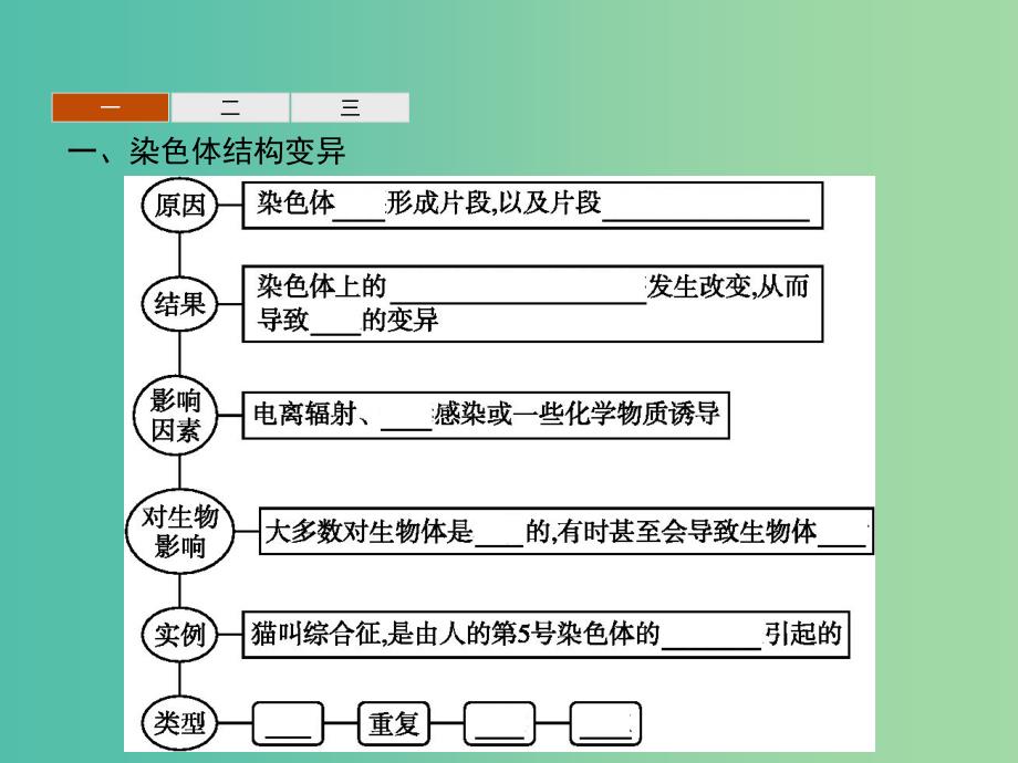 2019年高中生物第三章遗传和染色体3.3染色体变异及其应用课件苏教版必修2 .ppt_第3页