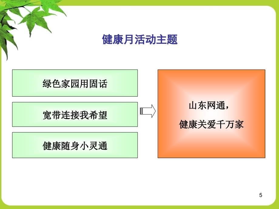 山东网通健康月活动执行方案_第5页