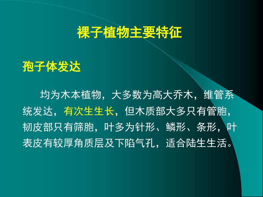 裸子植物主要特征_第1页