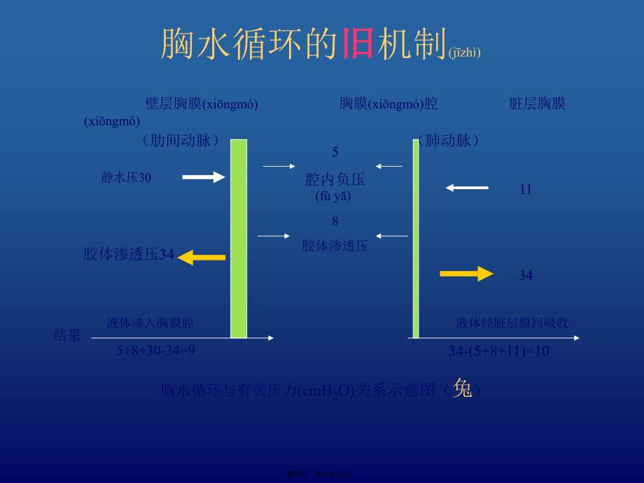 医学专题—胸腔积液(第六版)_第4页