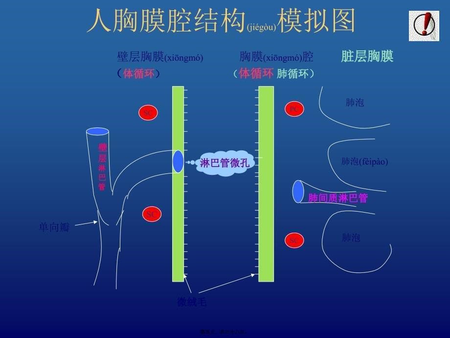 医学专题—胸腔积液(第六版)_第5页