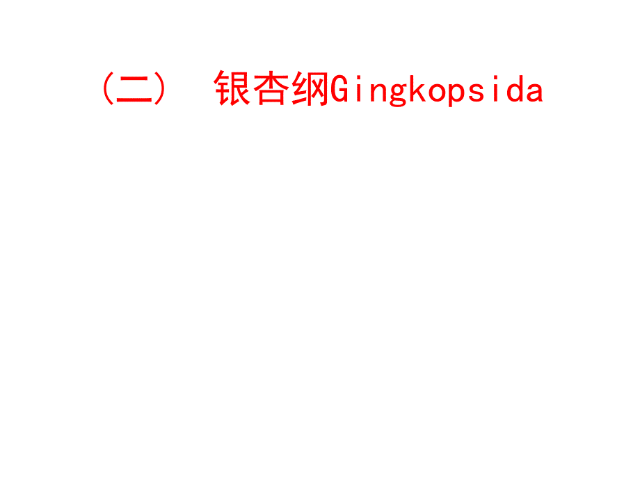 植物学教学课件：银杏纲Gingkopsida_第1页