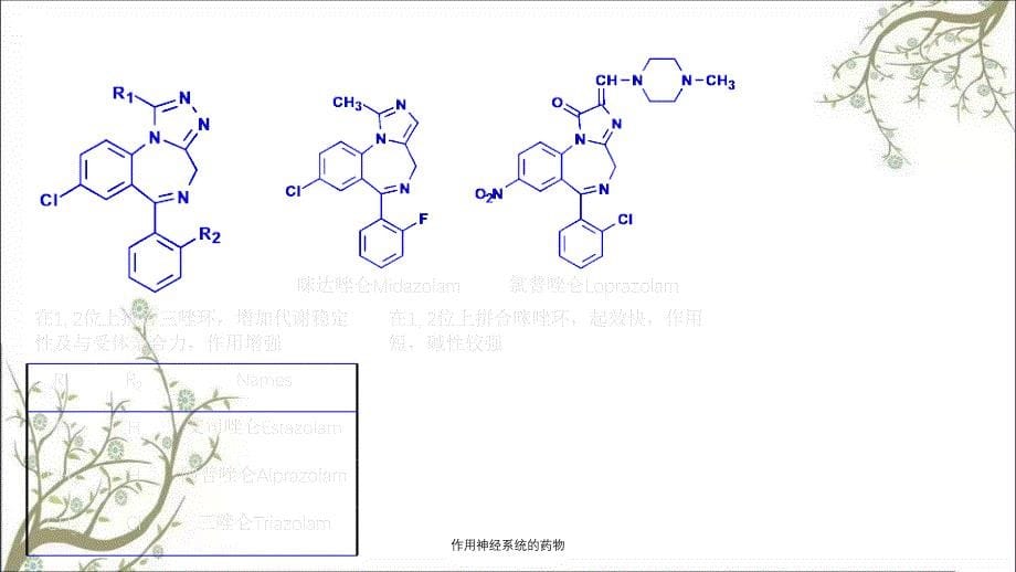 作用神经系统的药物_第5页