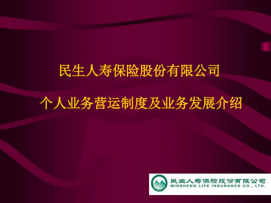 人寿保险公司培训：民生人寿个人业务发展介绍1_第1页