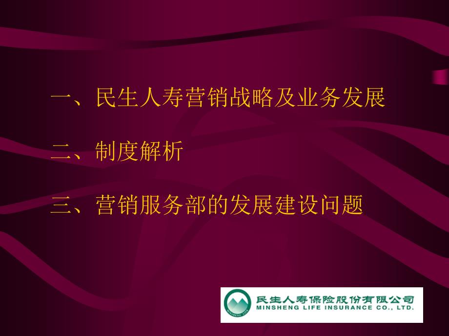 人寿保险公司培训：民生人寿个人业务发展介绍1_第2页