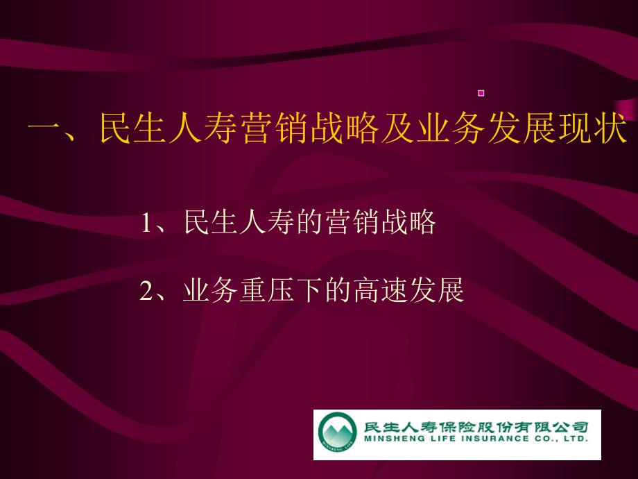 人寿保险公司培训：民生人寿个人业务发展介绍1_第3页