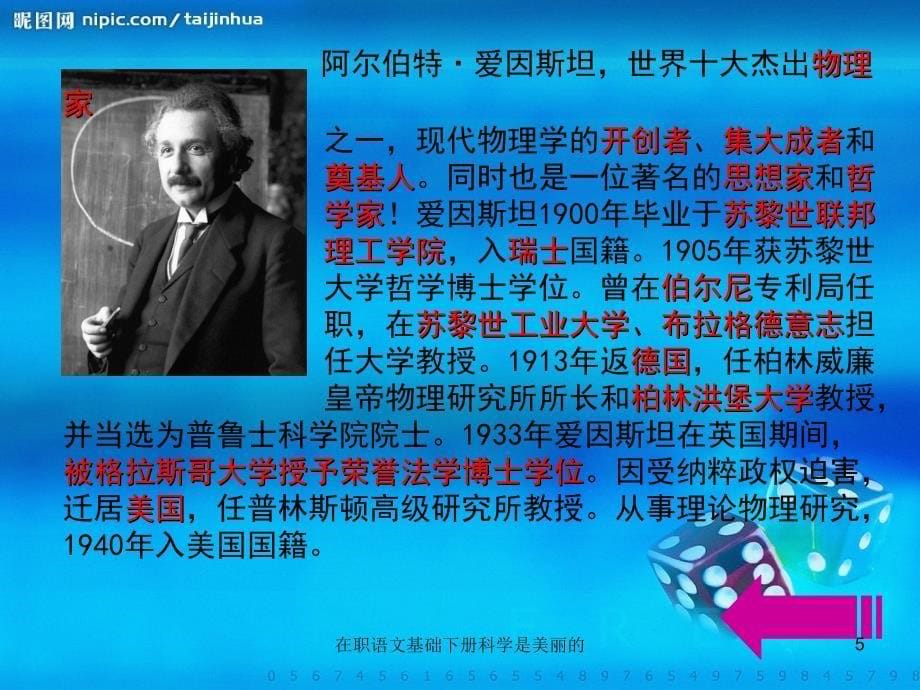 在职语文基础下册科学是美丽的课件_第5页