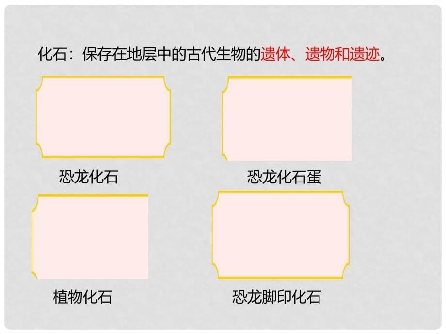 八年级生物下册 第六单元 第三章 第二节 生物的进化（一）《生物进化的历程》课件 （新版）冀教版_第5页