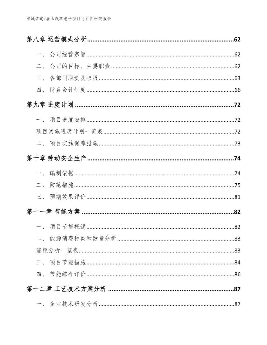 唐山汽车电子项目可行性研究报告范文_第4页