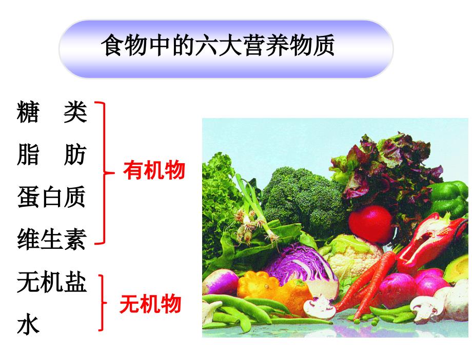 第一节食物中的营养物质 (3)_第3页