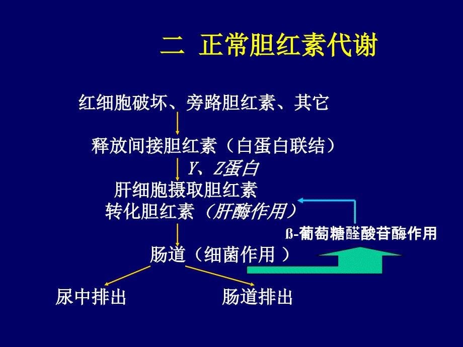 最新新生儿黄疸浙江大学医学院附属儿童医院儿科护理学PPT文档_第5页