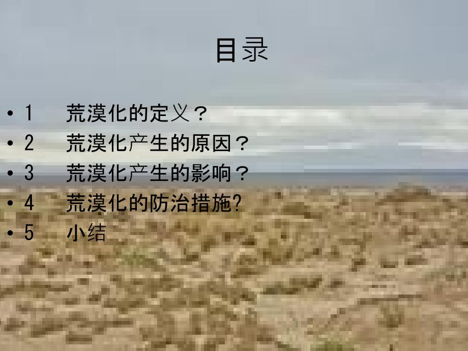 土地荒漠化的预防及措施_第2页