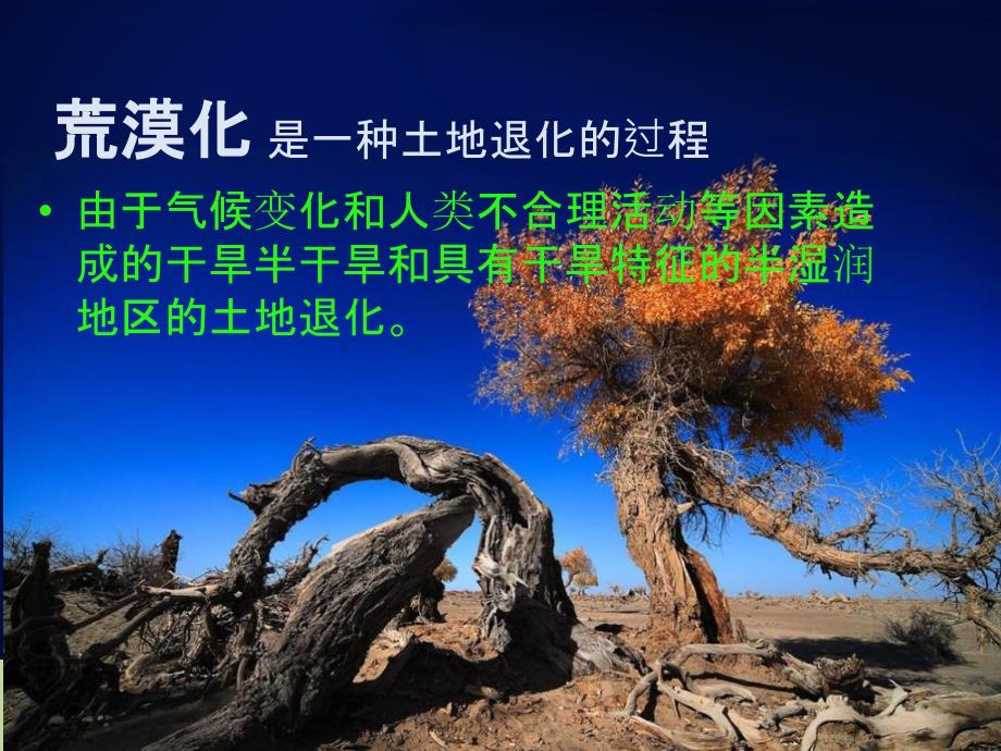 土地荒漠化的预防及措施_第3页