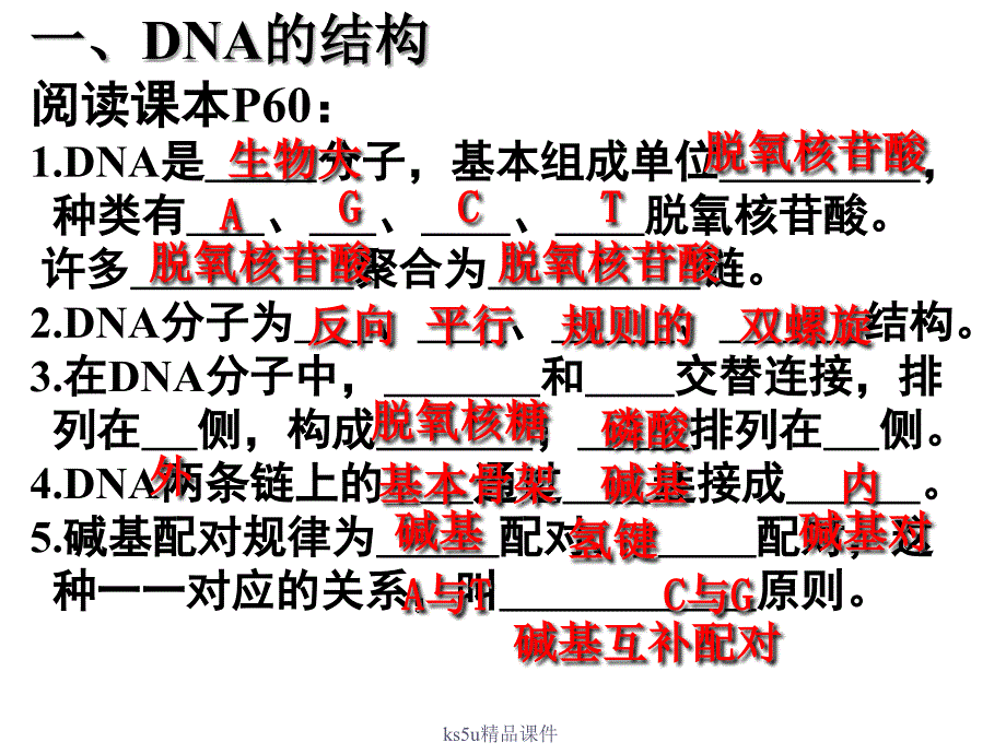 第二节DNA的结构和DNA的复制课件_第2页