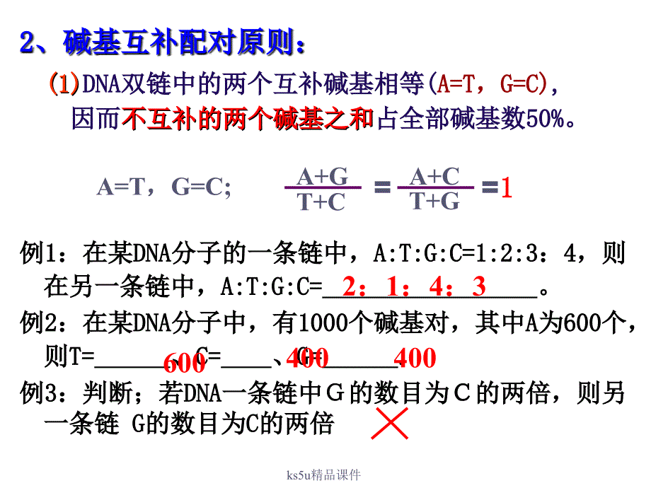 第二节DNA的结构和DNA的复制课件_第4页