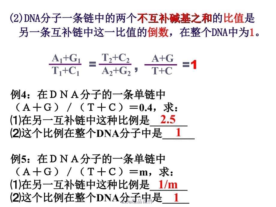 第二节DNA的结构和DNA的复制课件_第5页