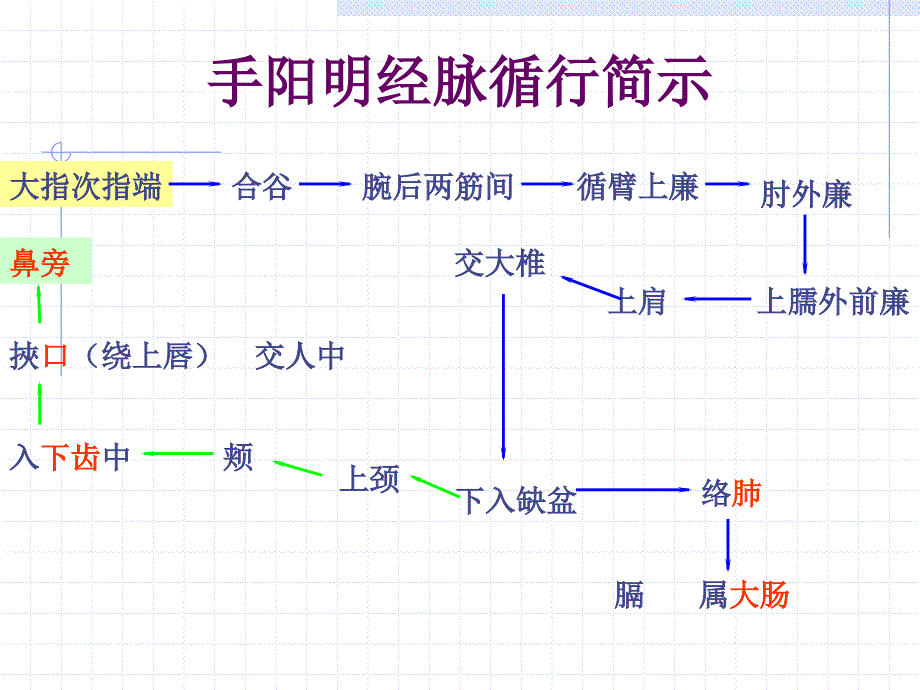 针灸学：第二章手阳明经络与腧穴_第2页