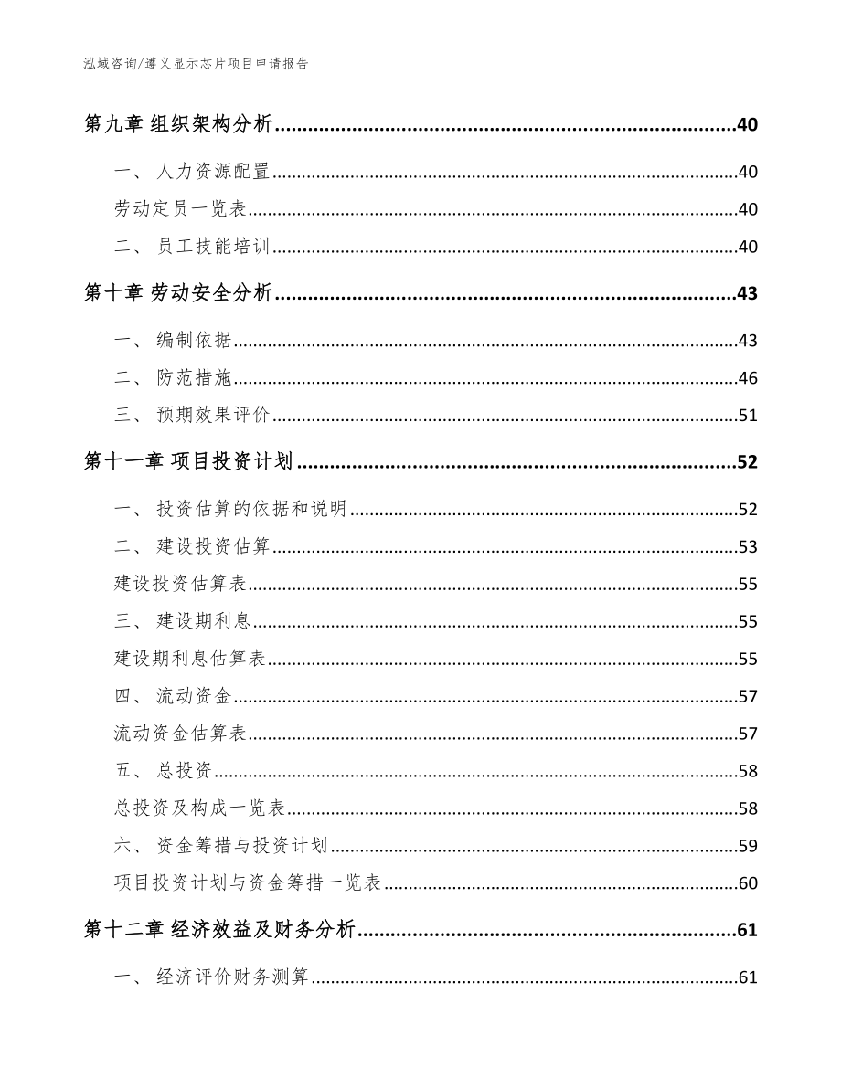 遵义显示芯片项目申请报告【参考范文】_第4页