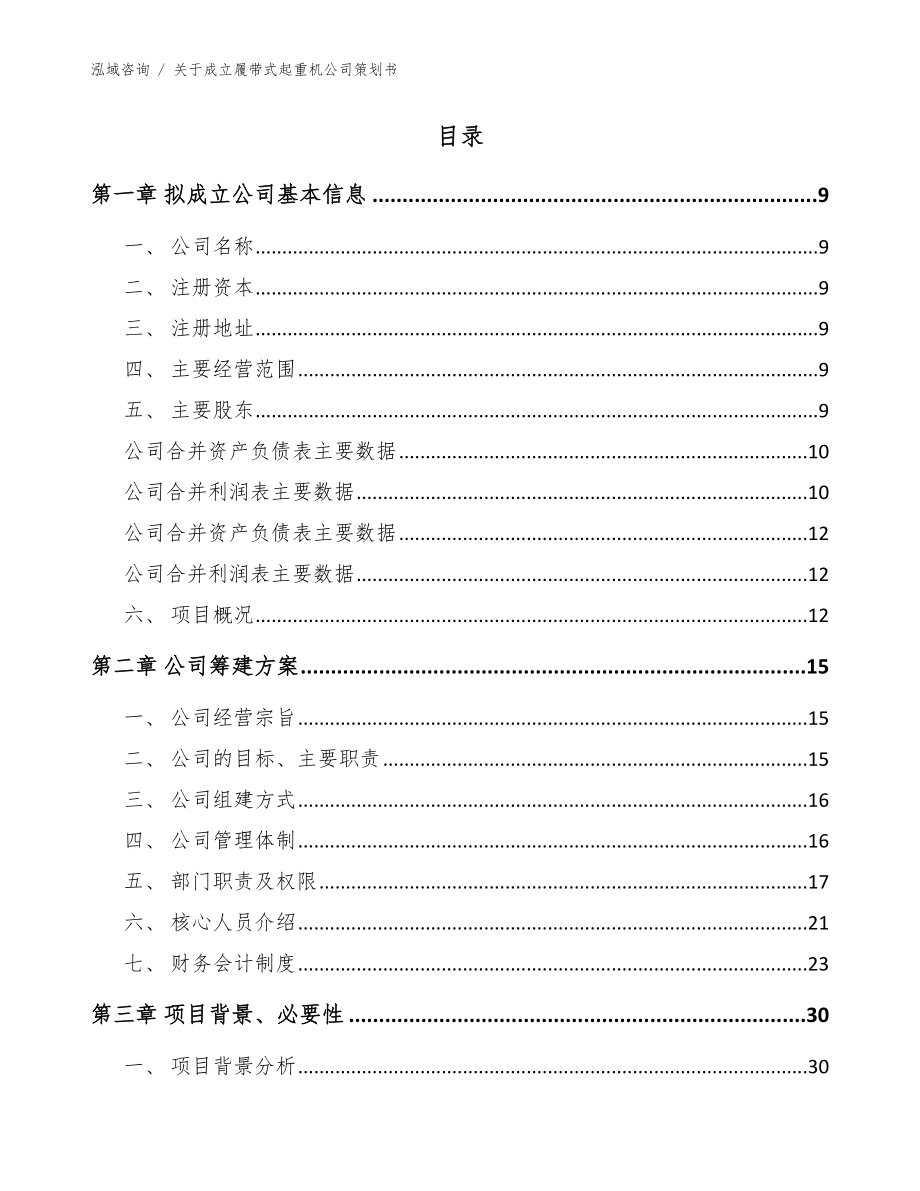 关于成立履带式起重机公司策划书模板参考_第2页