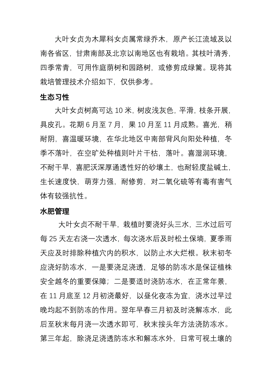 大叶女贞栽培管理技术.doc_第1页