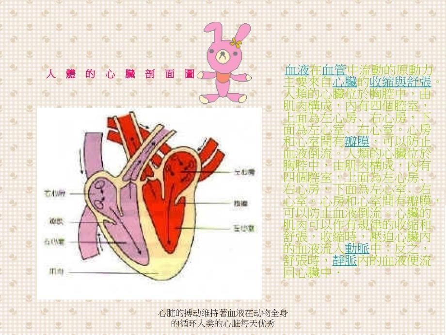 心脏的搏动维持著血液在动物全身的循环人类的心脏每天优秀课件_第5页