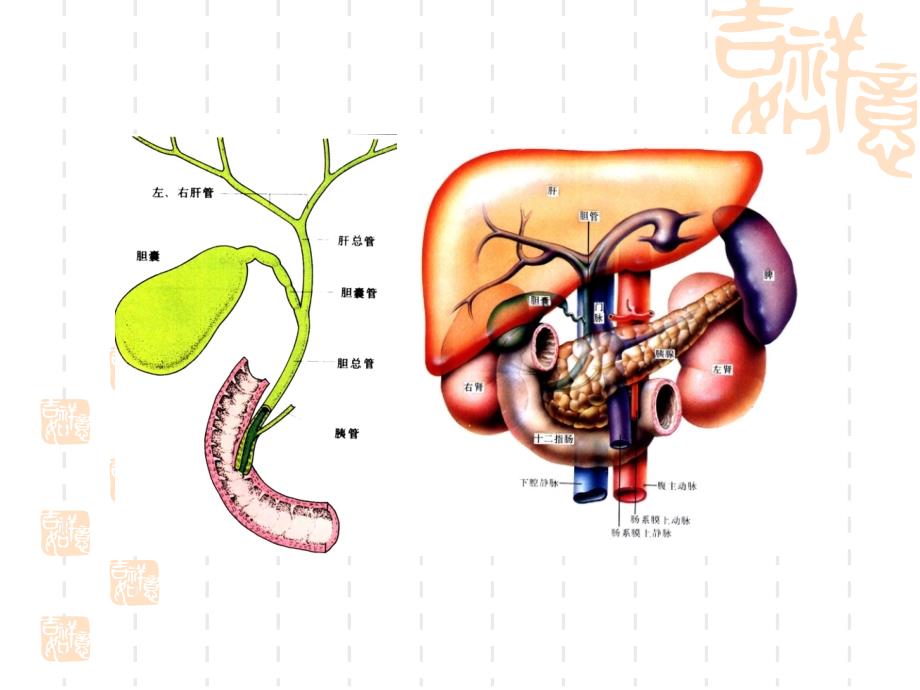 xxxttt上消化道出血_第4页