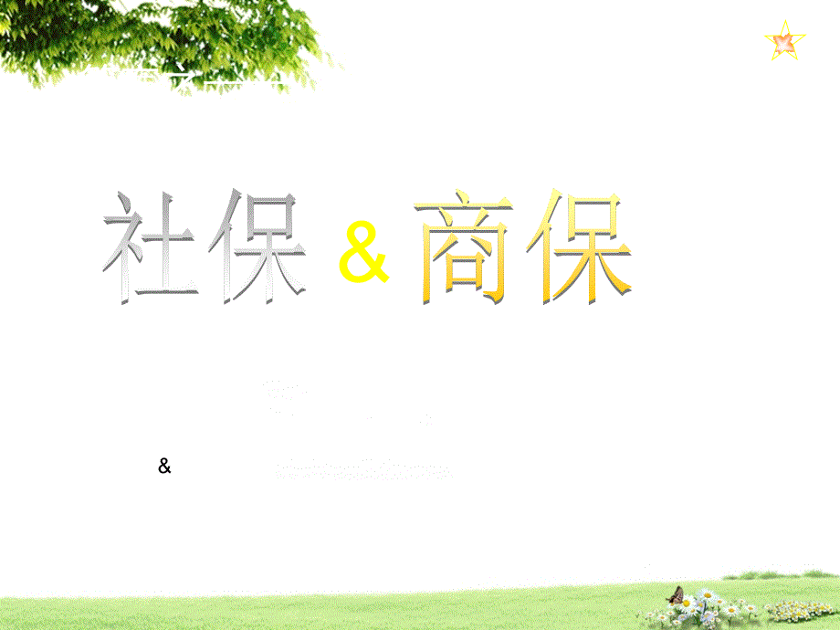 社保与商保比较_第1页
