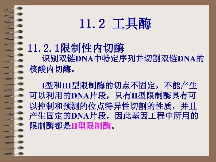 教学课件第十一章基因工程_第5页