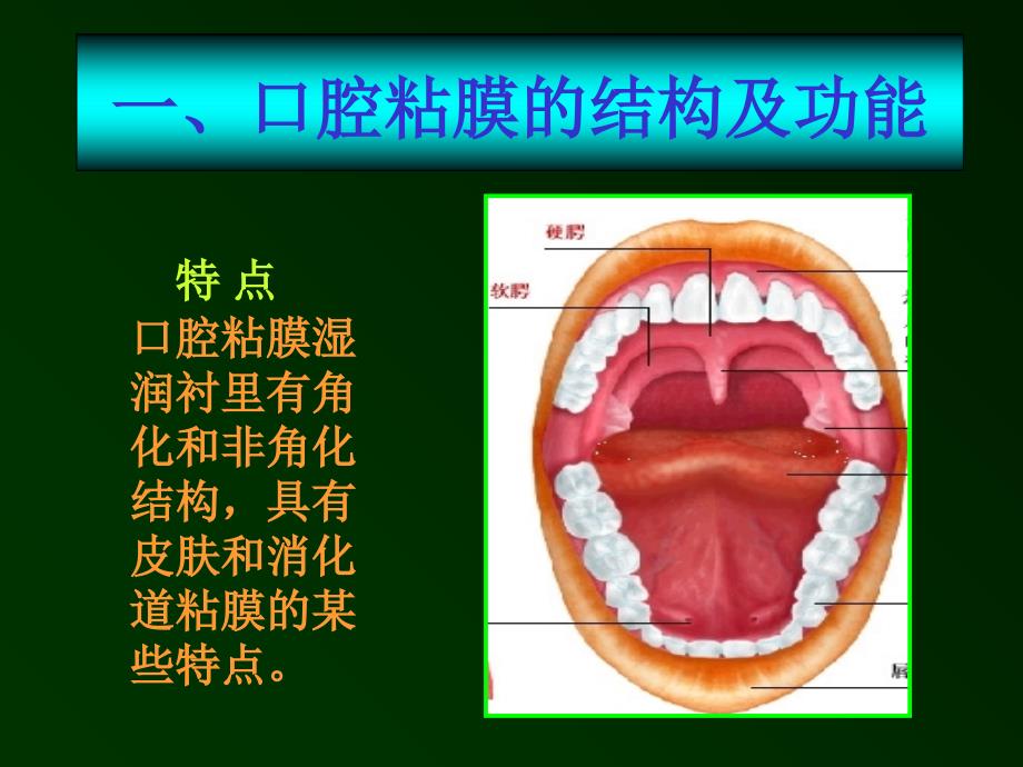 口腔溃疡诊断鉴别(PPT33页)_第2页