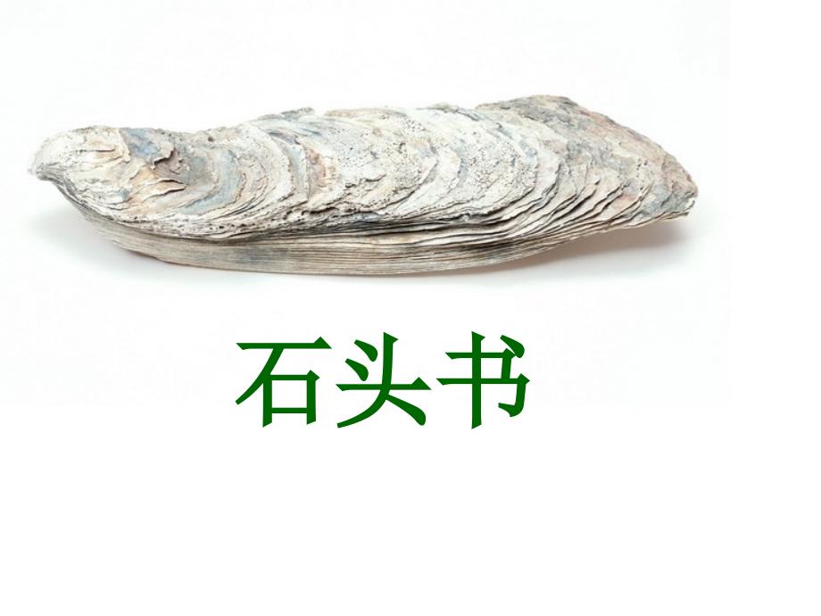 19石头书 (2)_第2页