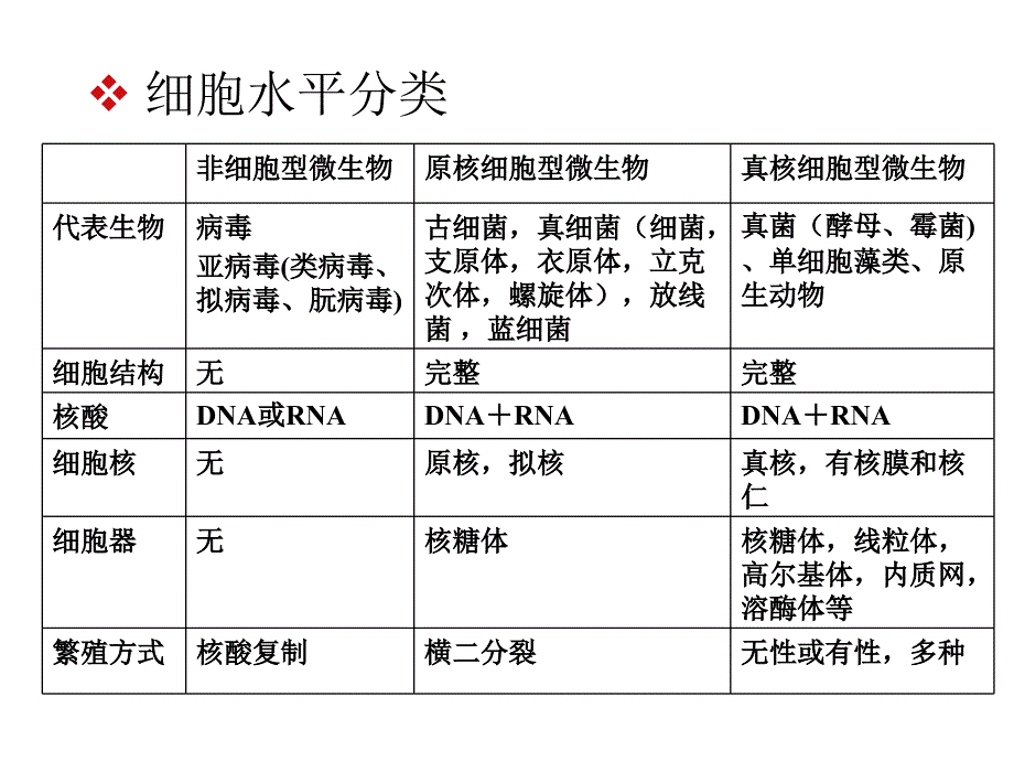 微生物分类ppt课件_第2页