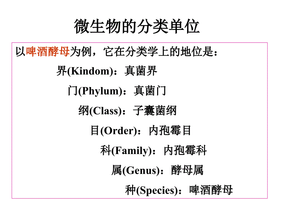 微生物分类ppt课件_第4页