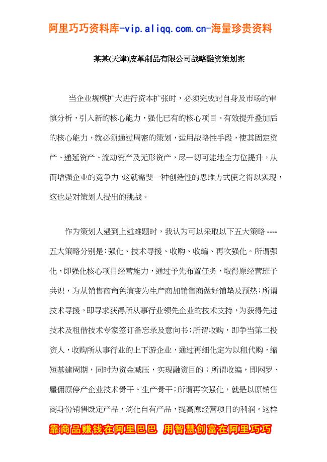 某某(天津)皮革制品有限公司战略融资策划案(doc 10)