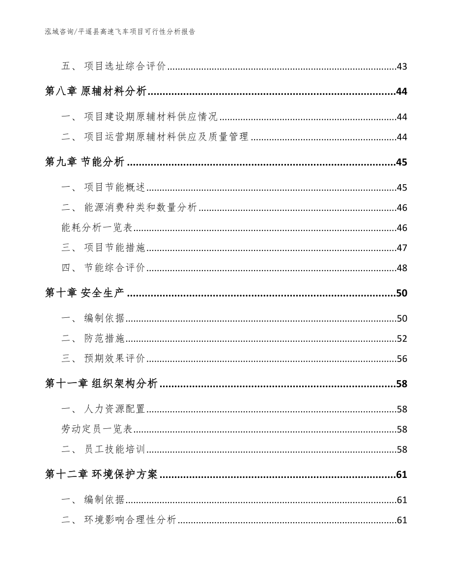 平遥县高速飞车项目可行性分析报告【范文模板】_第4页