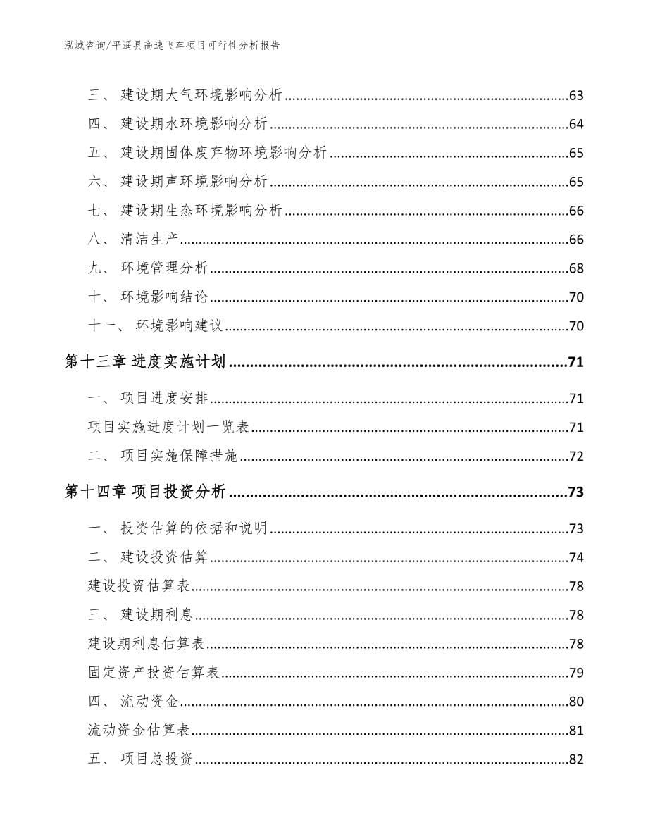 平遥县高速飞车项目可行性分析报告【范文模板】_第5页