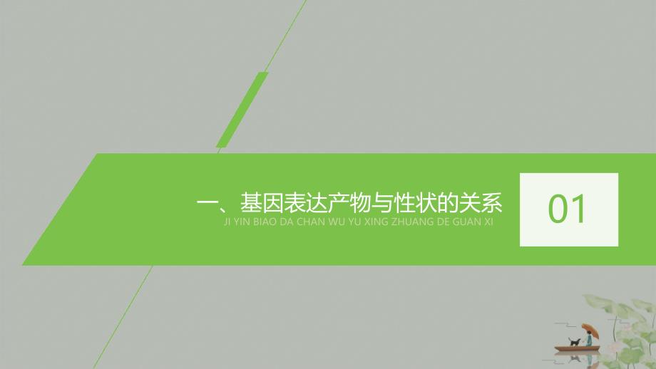 基因表达与性状的关系基因的表达课件_第4页