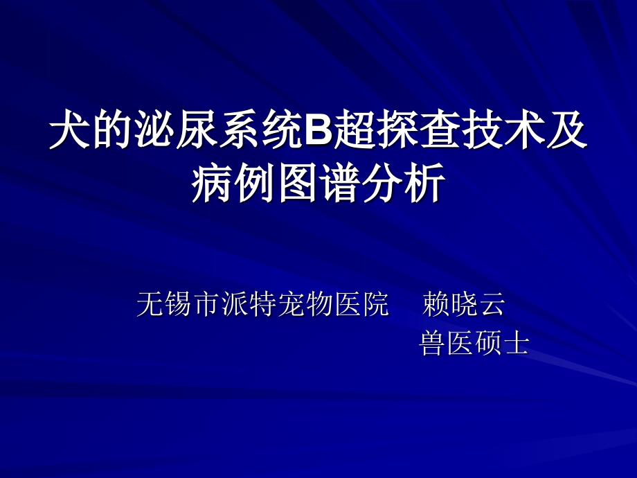 犬的泌尿系统B超探查技术及病例图谱分析课件_第1页