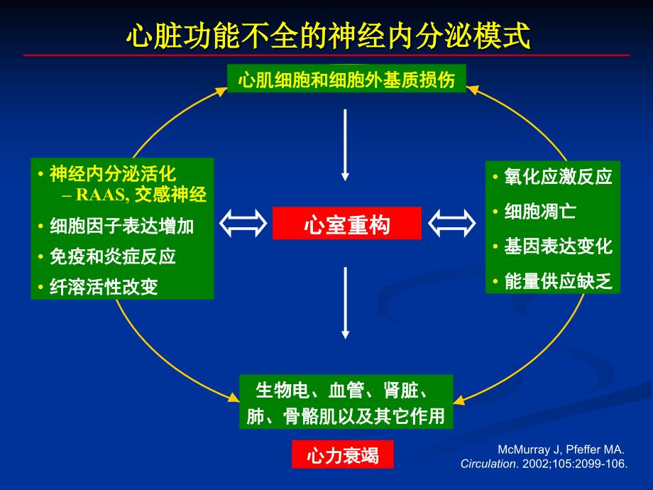 最新“中国慢性心力衰竭诊断治疗指南”解读PPT课件PPT文档_第4页