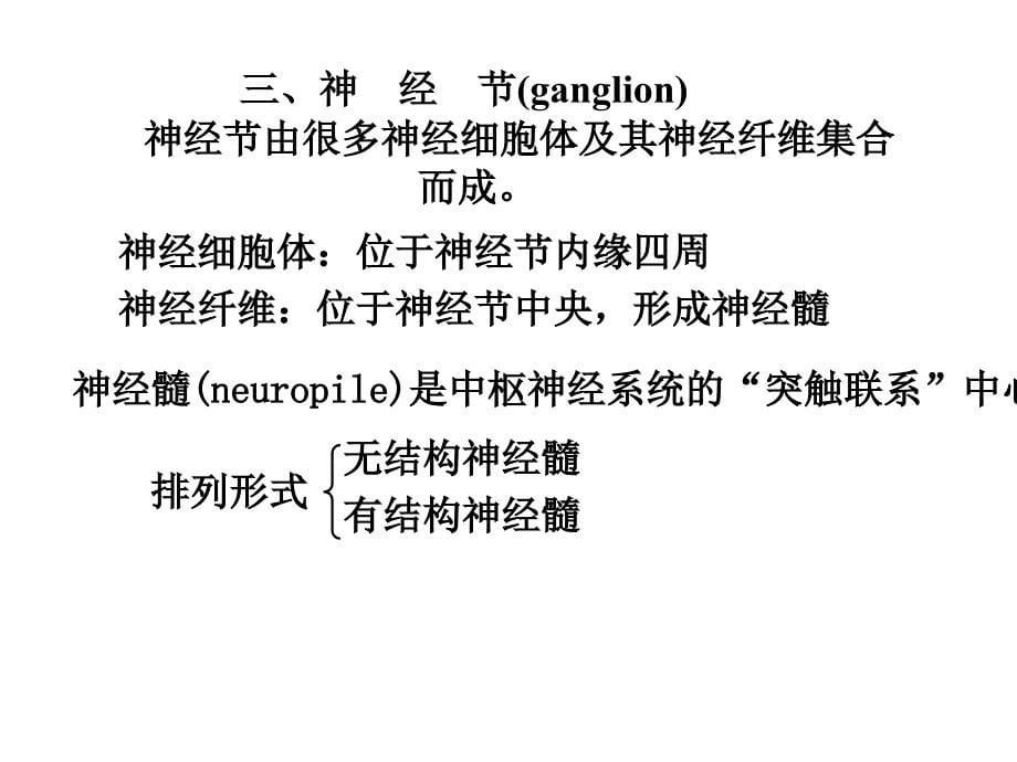 昆虫的神经系统1文档资料_第5页