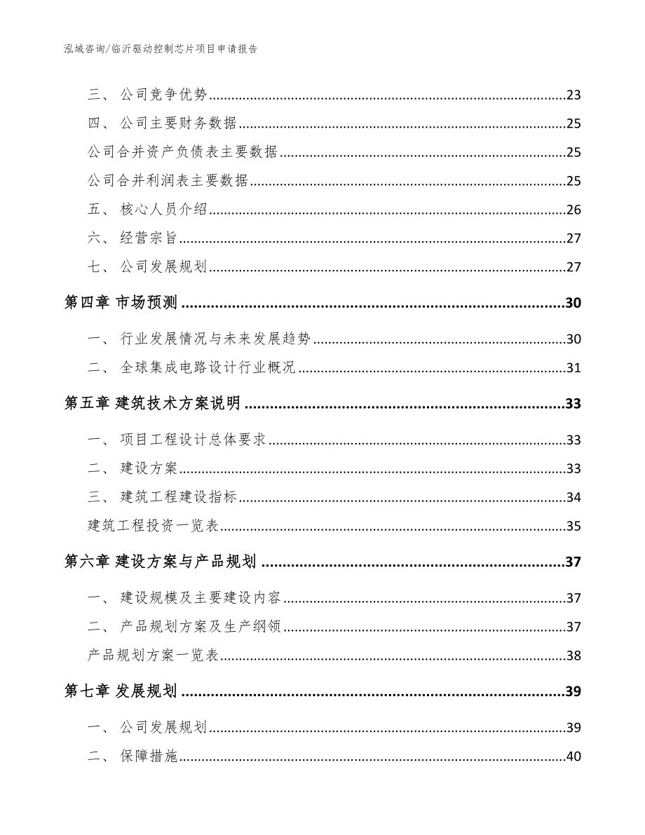 临沂驱动控制芯片项目申请报告（模板范文）_第2页