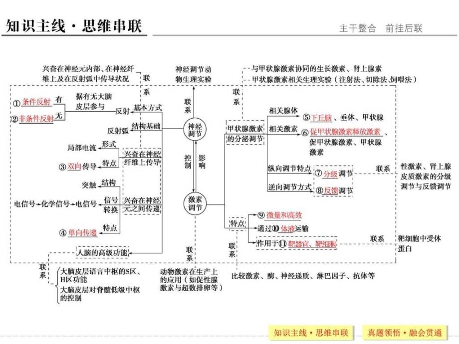 专题一神经调节和体液调节_第2页