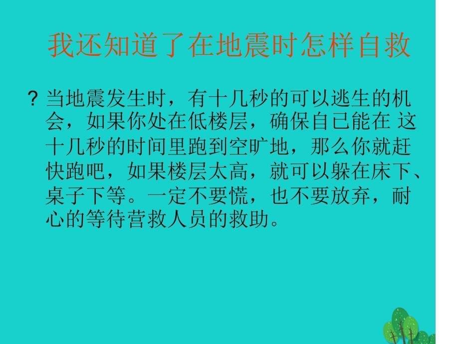 六年级科学上册火山和地震课件2苏教版4_第5页