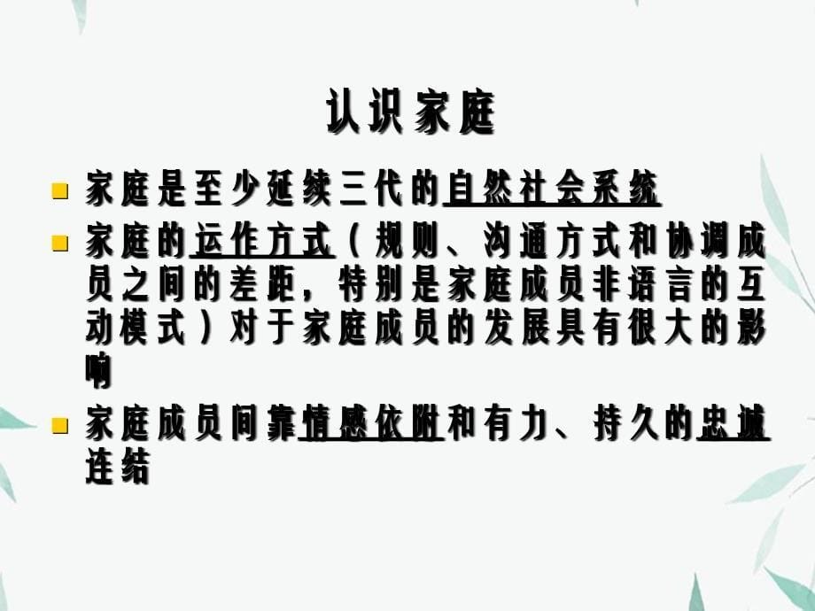 家庭心理治疗理论与实践_第5页