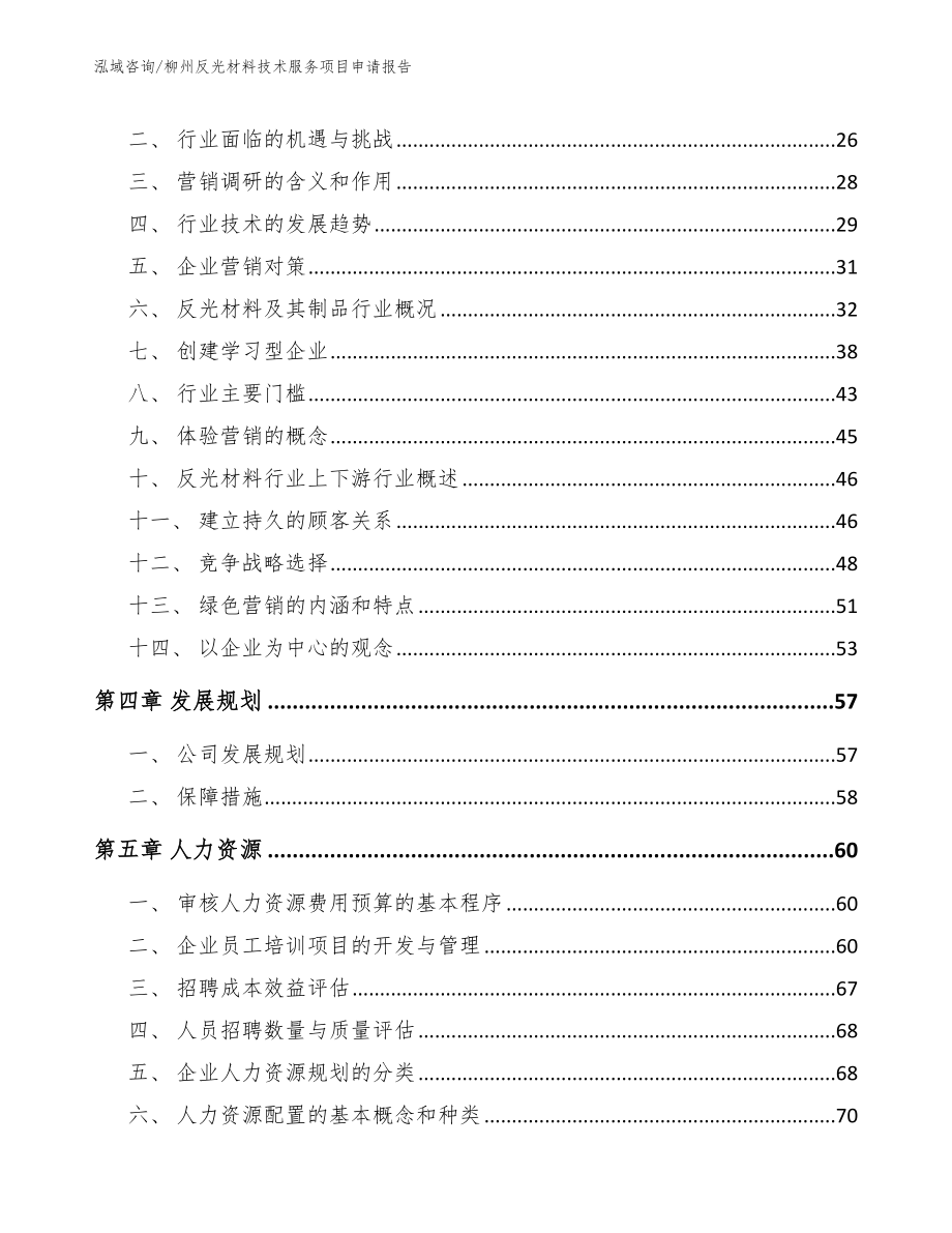 柳州反光材料技术服务项目申请报告参考模板_第4页