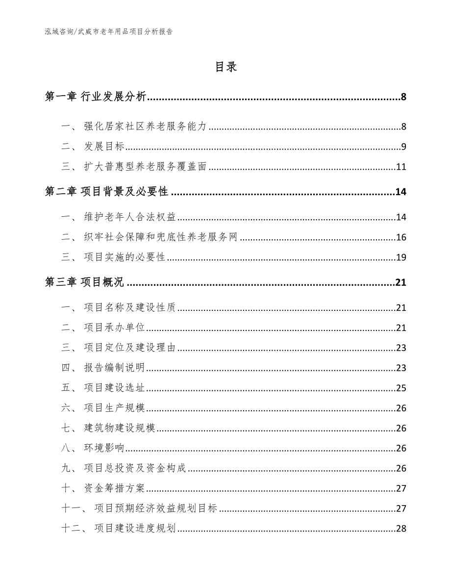 武威市老年用品项目分析报告（模板范本）_第2页