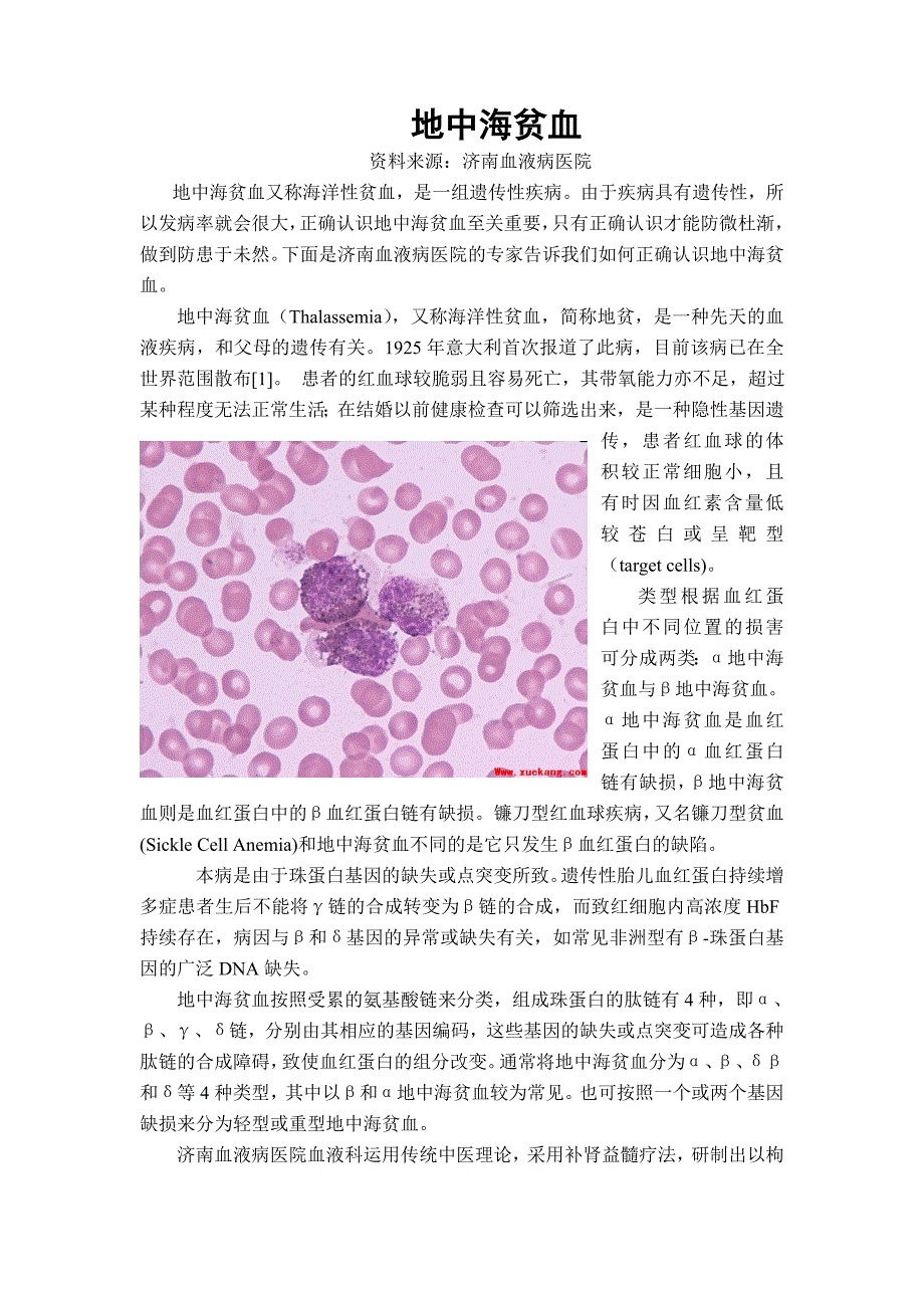 (精品)地中海贫血_第1页