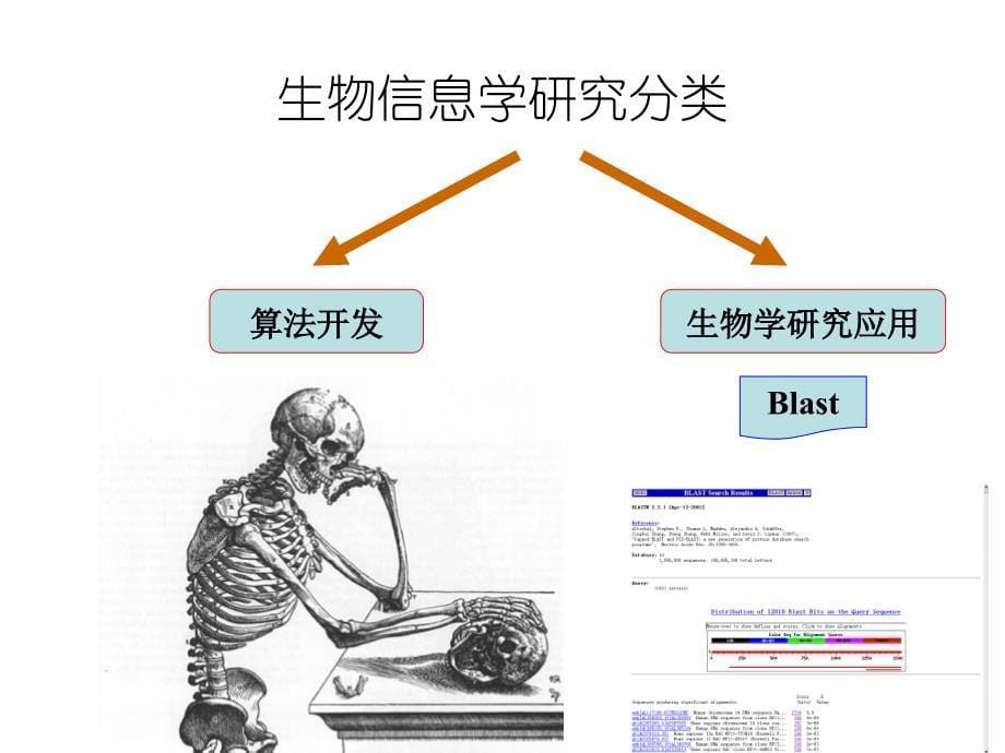 生物信息学绪论_第5页