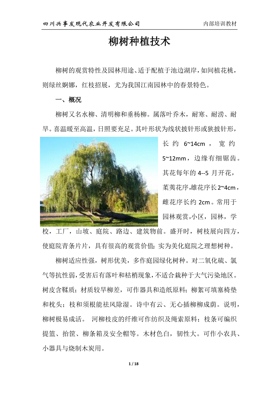 柳树种植技术.docx_第1页