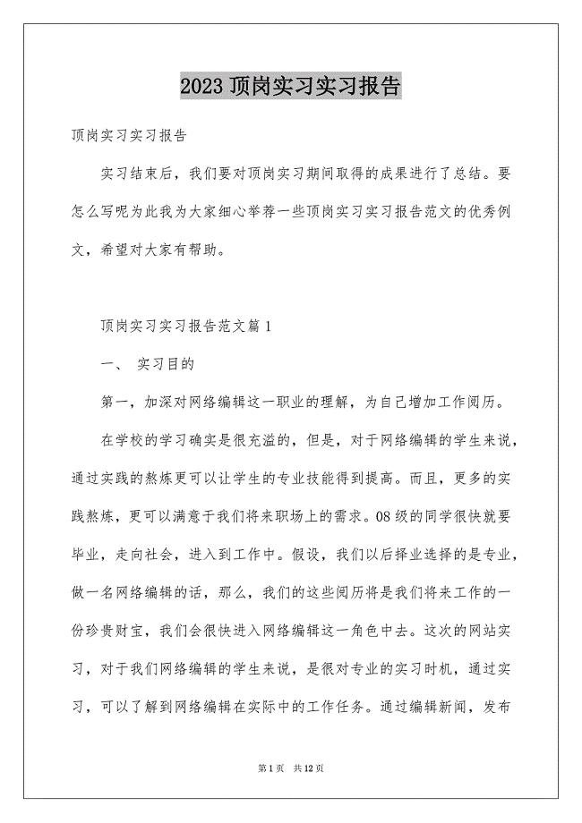 2023年顶岗实习实习报告范文.docx