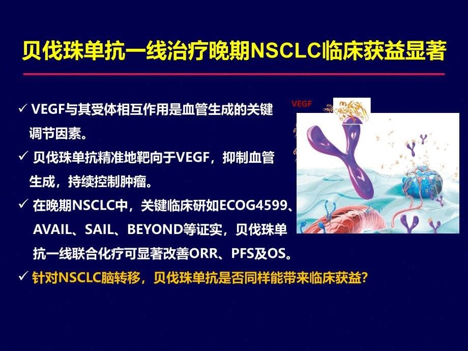 优质医学贝伐珠单抗在NSCLC脑转移患者中的应用_第5页